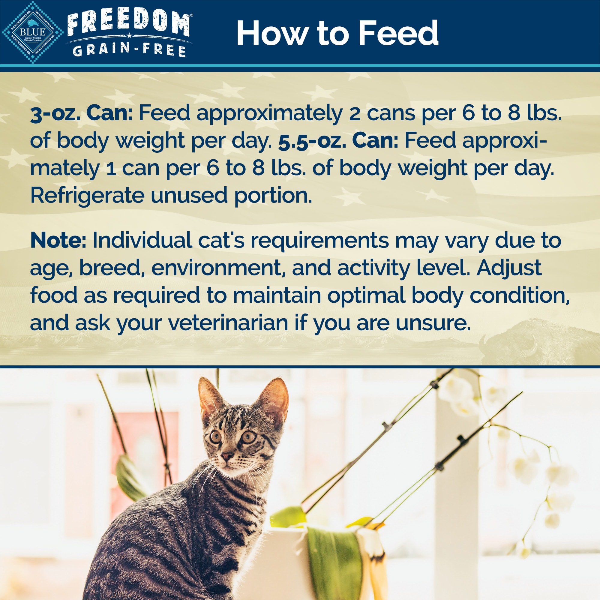 Blue Buffalo Blue Freedom Grain-Free Indoor Fish Recipe Wet Cat Food， 5.5 oz.， Case of 24