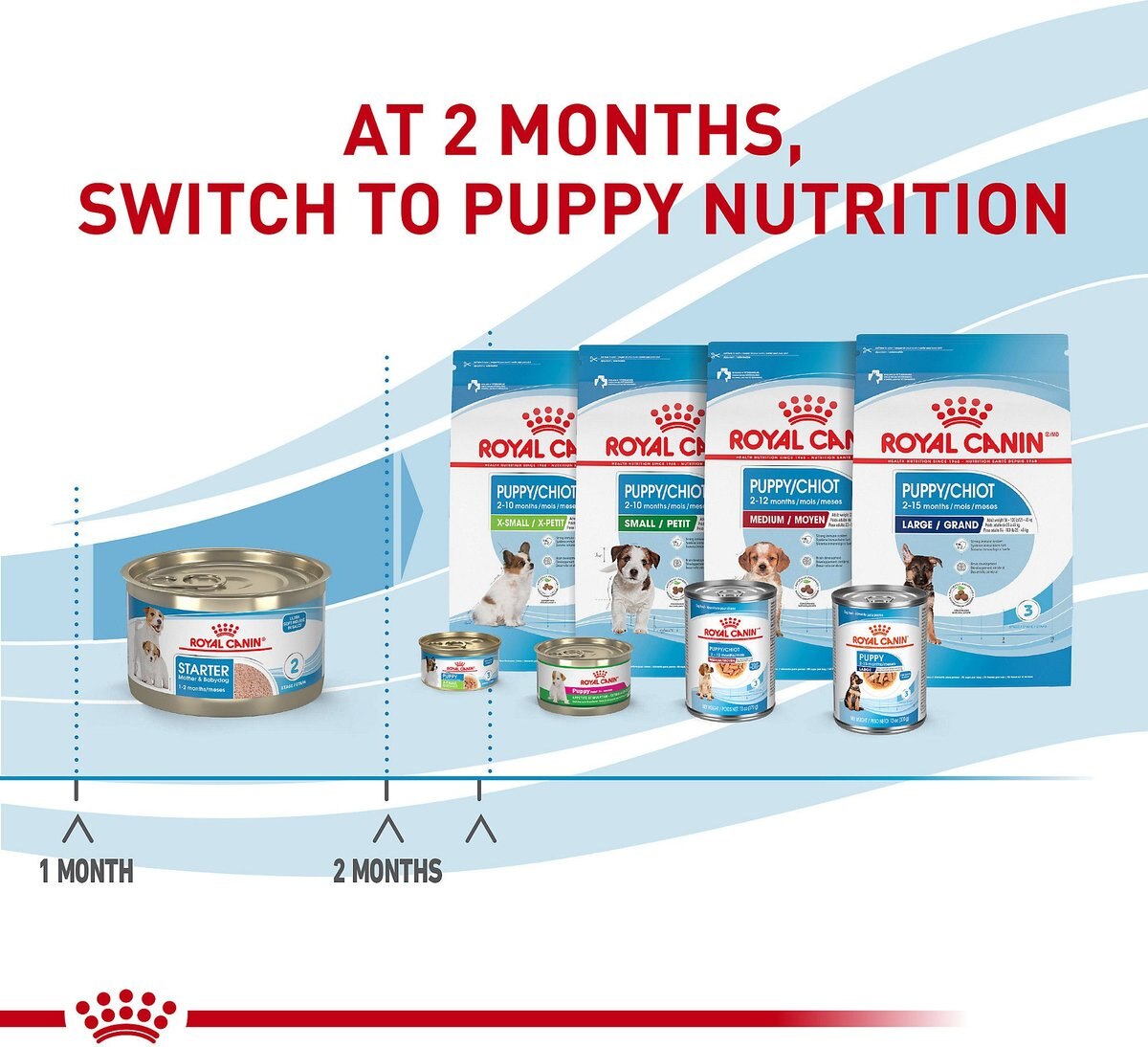 Royal Canin Size Health Nutrition Small Mother and Babydog Starter Mousse in Sauce Wet Dog Food