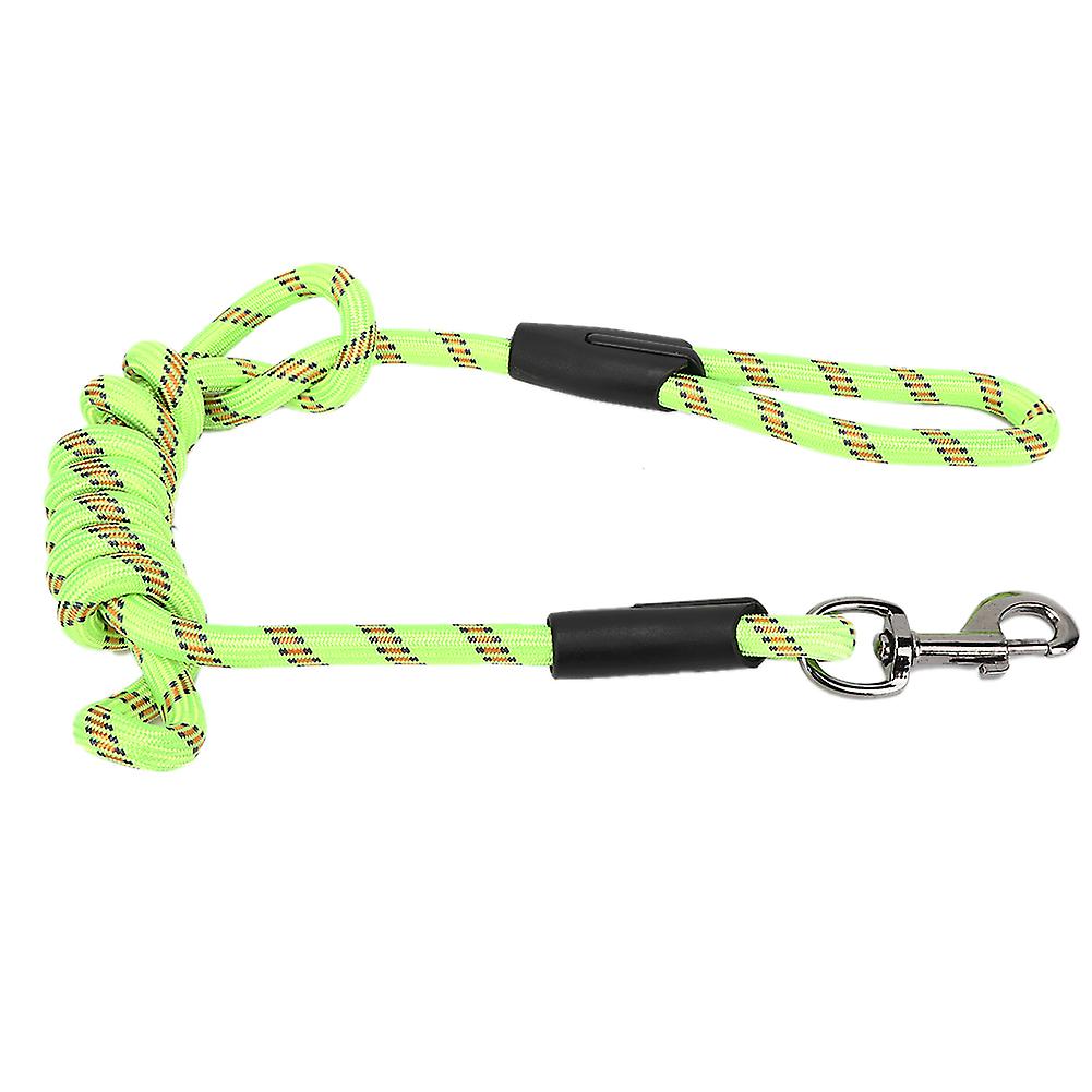 Outdoor High Strength Nylon Pet Dog Traction Rope Supply For Outside Walkinggreen Large