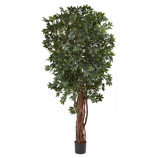 Lychee Tropical Evergreen Silk Tree - Nearly Natural