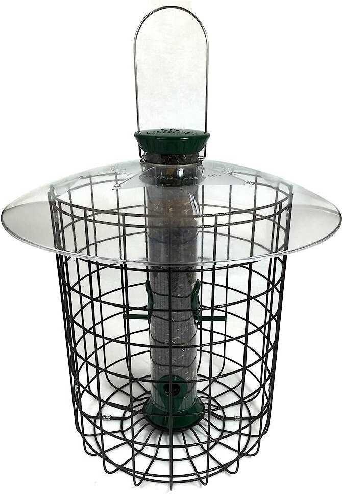 Droll Yankees Sunflower Domed Cage Wild Bird Feeder， 23-in