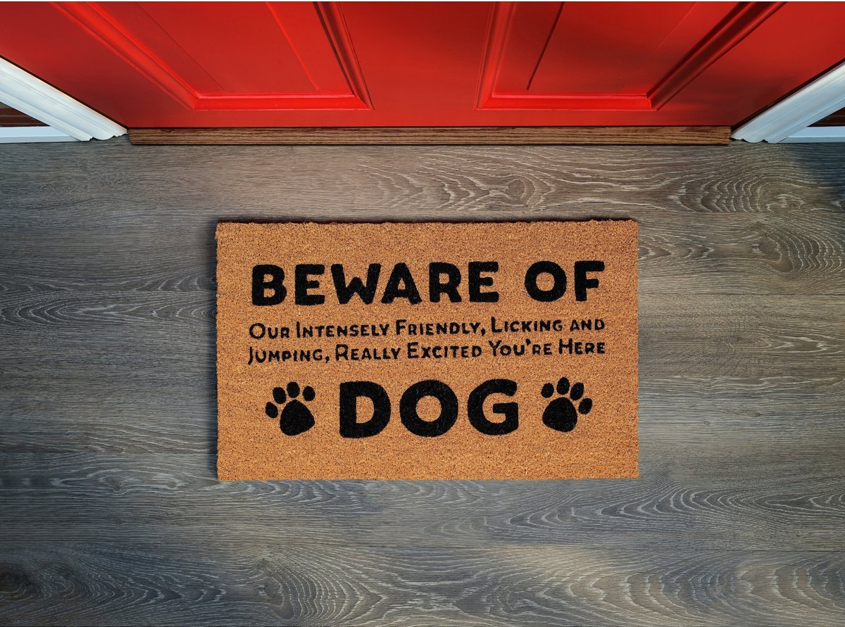 BirdRock Home Beware of Dog' Coir Doormat