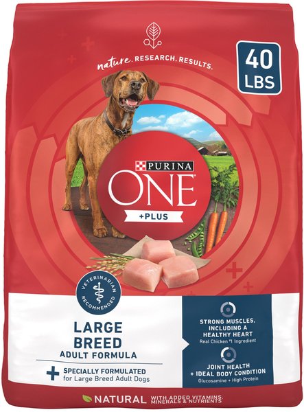 Purina ONE Natural Large Breed +Plus Formula Dry Dog Food