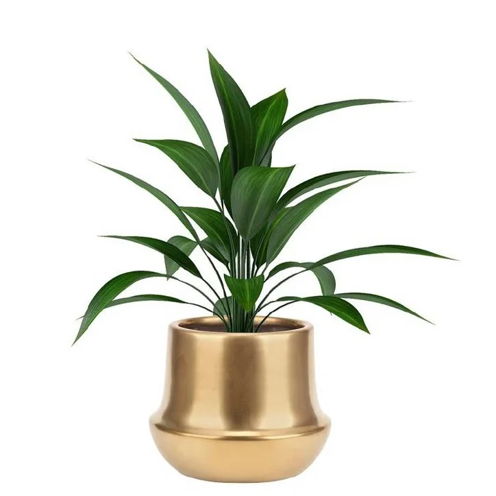 Low Price Handmade Gold Metal Planters for Garden Home Decorative Plant Custom Shape Flower Pot Luxury Floor Planter