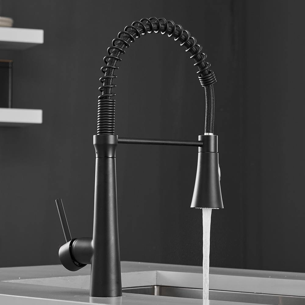 Boyel Living Black Stainless Steel Faucet Single-Handle Faucet Pull-Down Sprayer Kitchen Faucet BM2008B