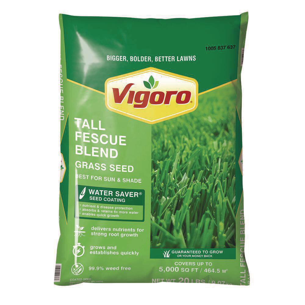 Vigoro 20 lbs. Tall Fescue Grass Seed Blend with Water Saver Seed Coating 25686