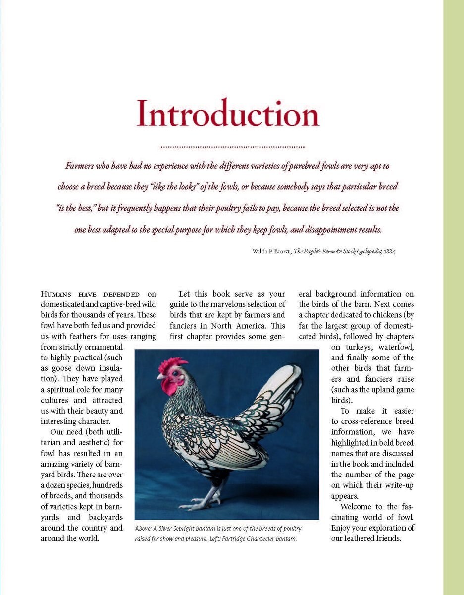 Storey's Illustrated Guide to Poultry Breeds