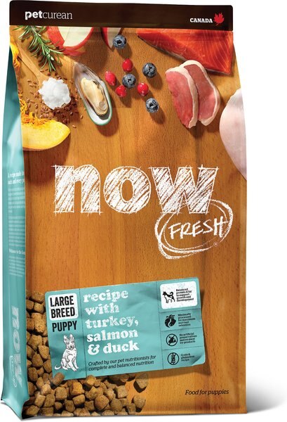 Now Fresh Grain-Free Large Breed Puppy Recipe Dry Dog Food