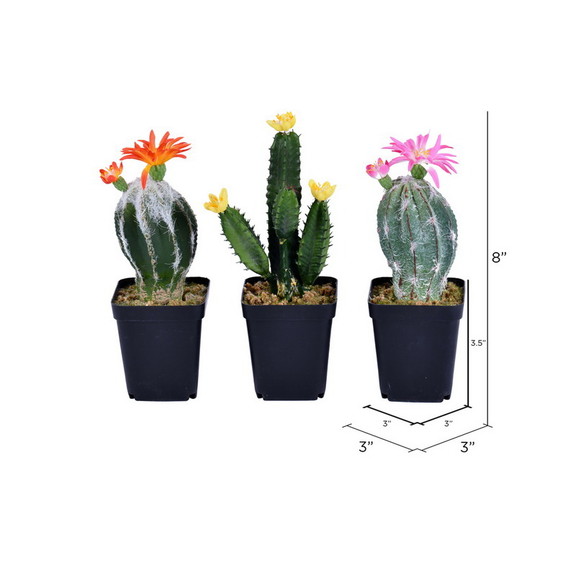 Vickerman FE191306 8 Green Potted Cactus Set/3