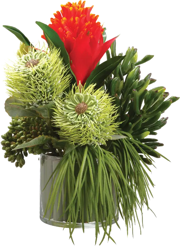 Red and Green Bromeliad， Succulent and Grass in Glass Vase