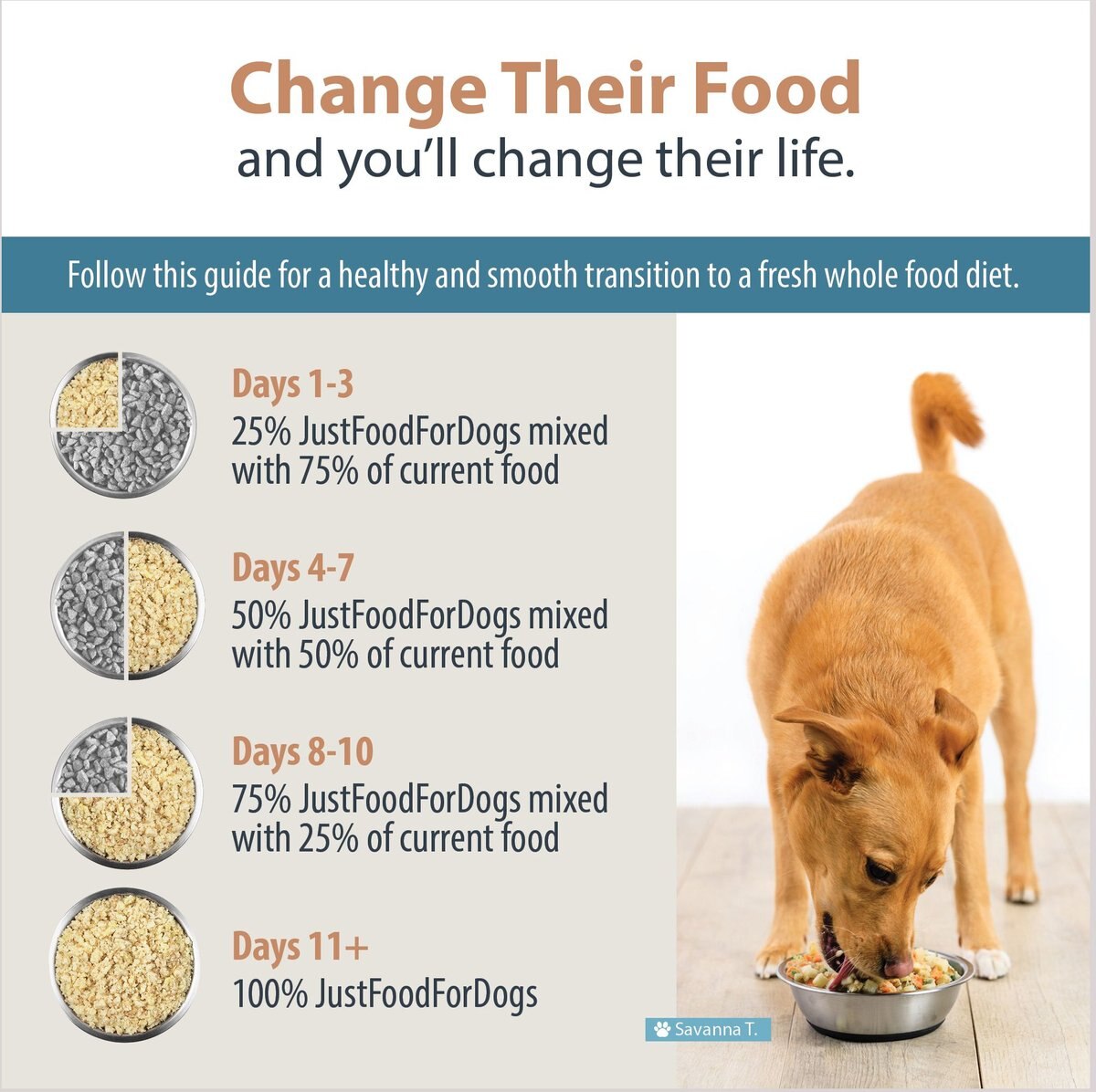 JustFoodForDogs Balanced Remedy Recipe Frozen Human-Grade Fresh Dog Food