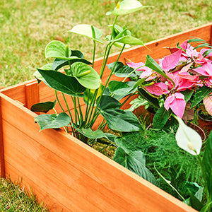 Outdoor Garden Ground Planter Box Home Work Set for Flower, Vegetable, Fruit Growing Made of Natural Wood by LAZYLAND