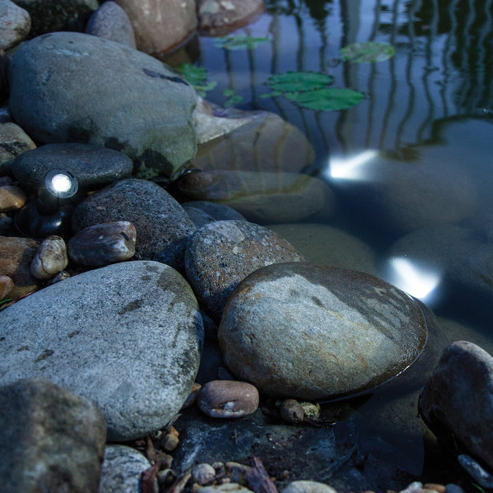 Mini Pond and Landscape Light Set