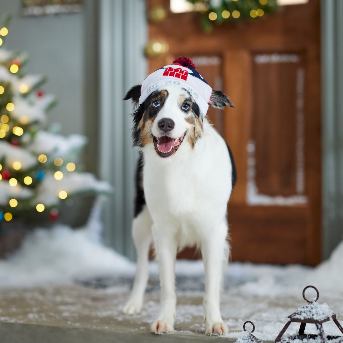 Frisco Ho Ho Ho Dog and Cat Hat