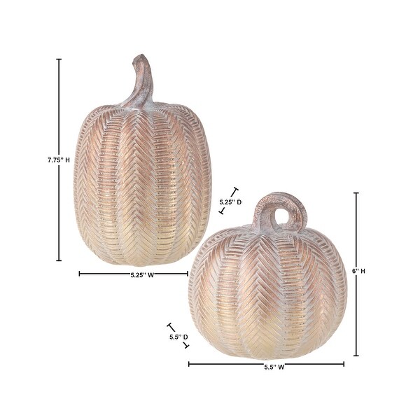 68 Resin Autumn Pumpkin Set of 2