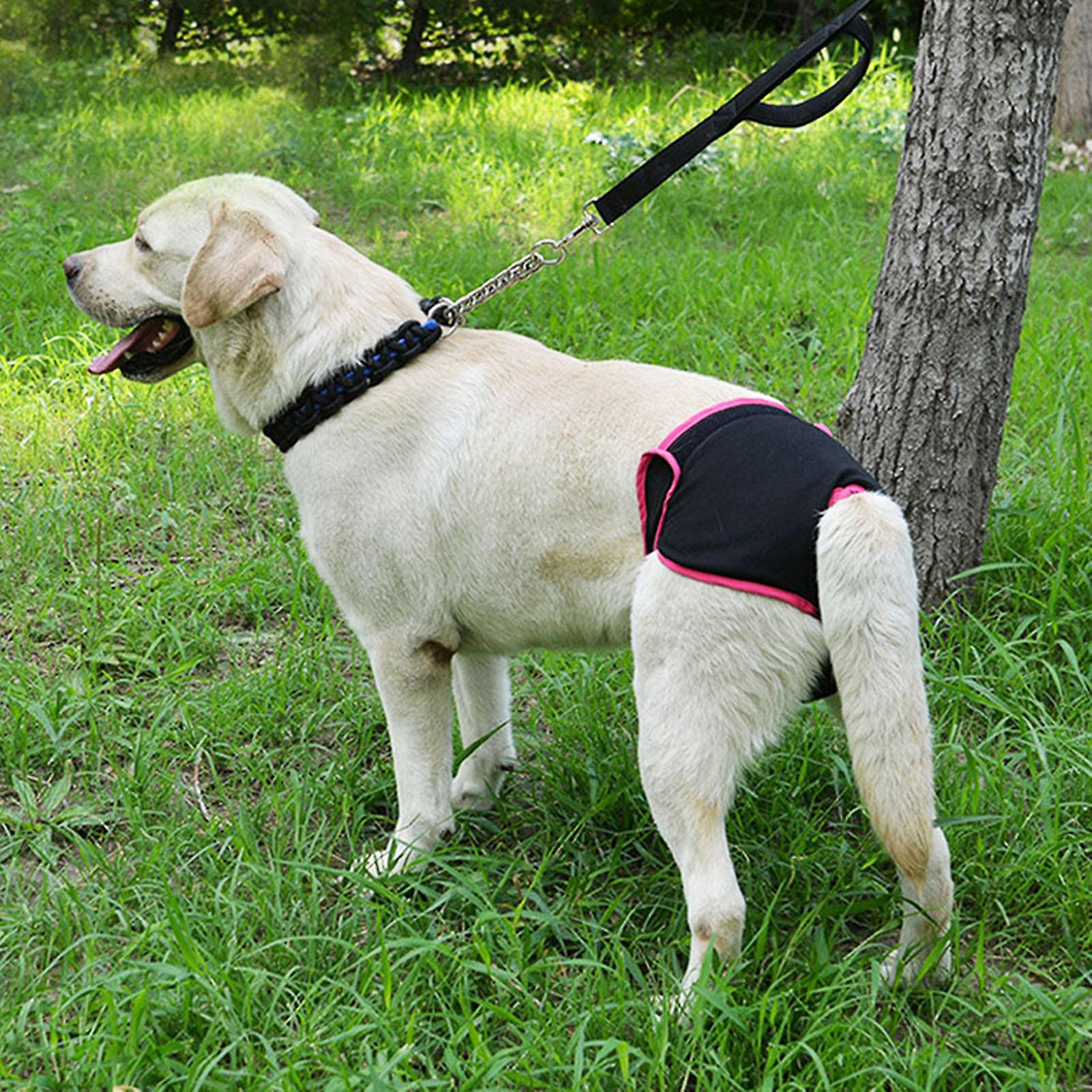 Dog Polyester Pants Puppy Underwear Female Physiological Pants Pet Sanitary Diaper (black S)