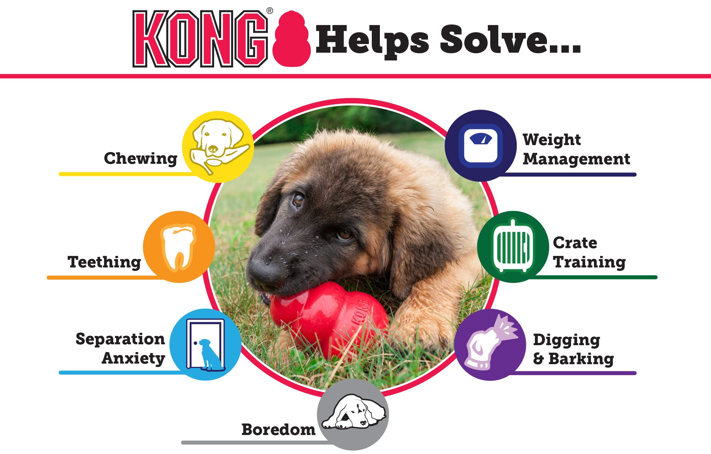 KONG Classic Dog Toy， Medium