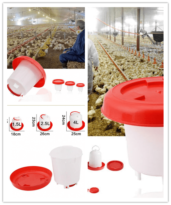 Nokiwiqis Poultry Hen Food Water Feeder， Plastic Poultry Drinker Accessories