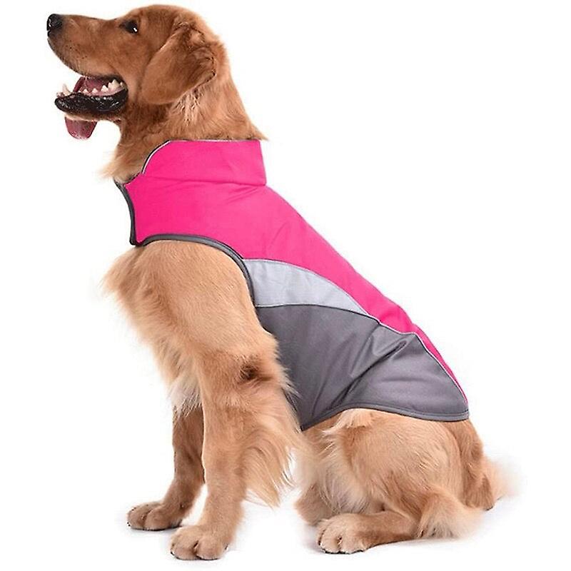 Outdoor winter windproof dog jacket