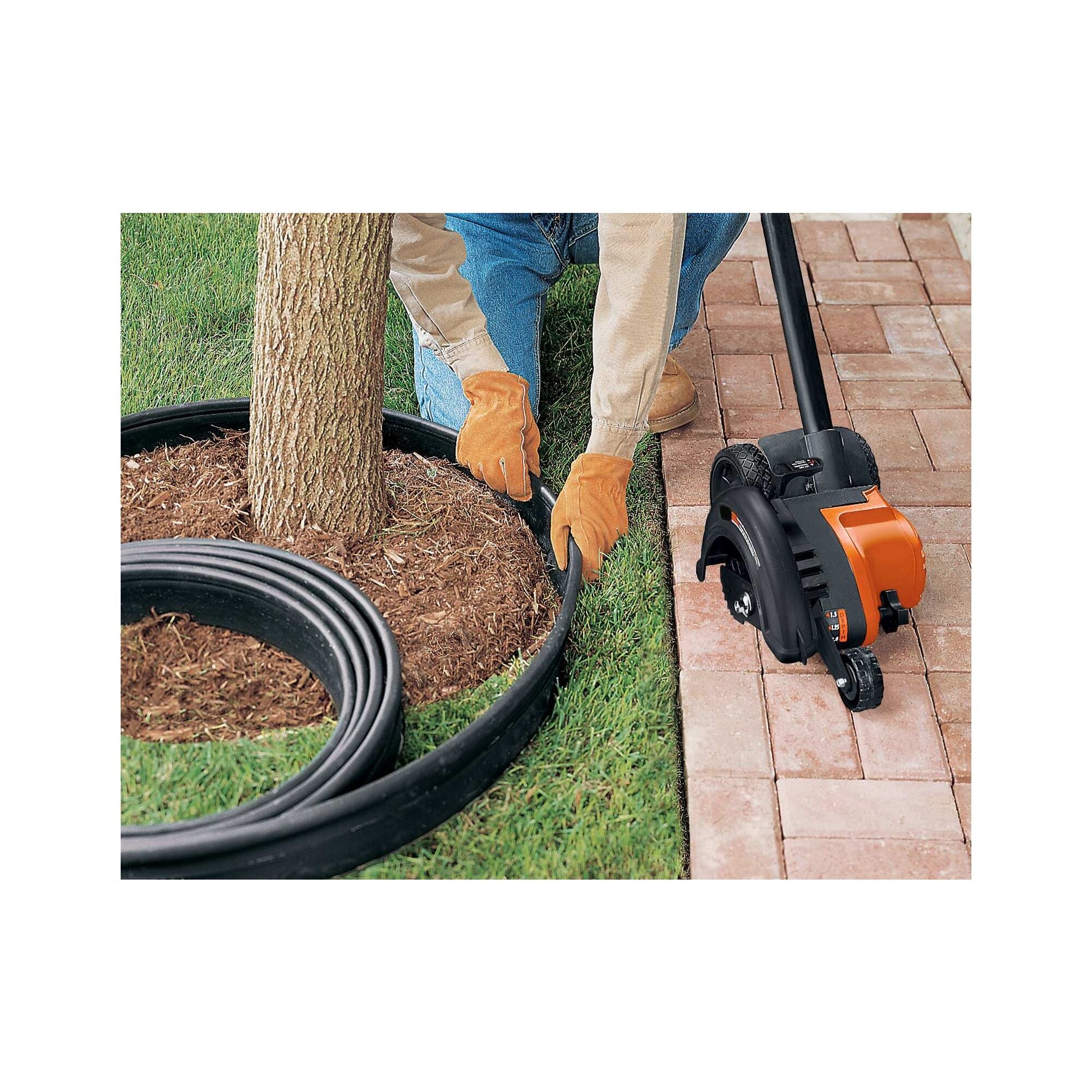 Edger and Trencher, 2-In-1, 12-Amp