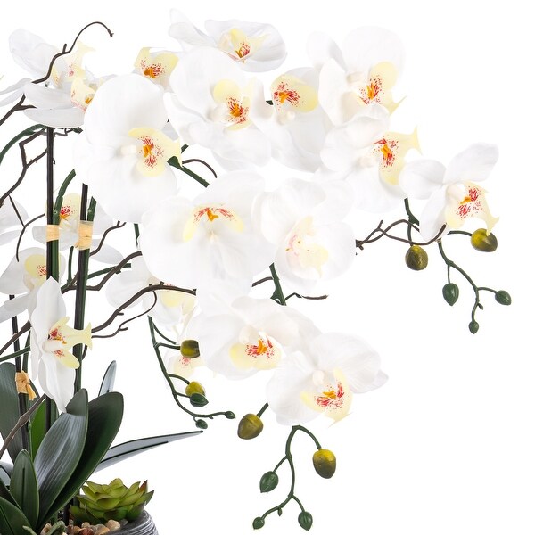 9 Stems Nearly Natural White Phalaenopsis Orchids with Succulents in White Magnesium Oxide Pot