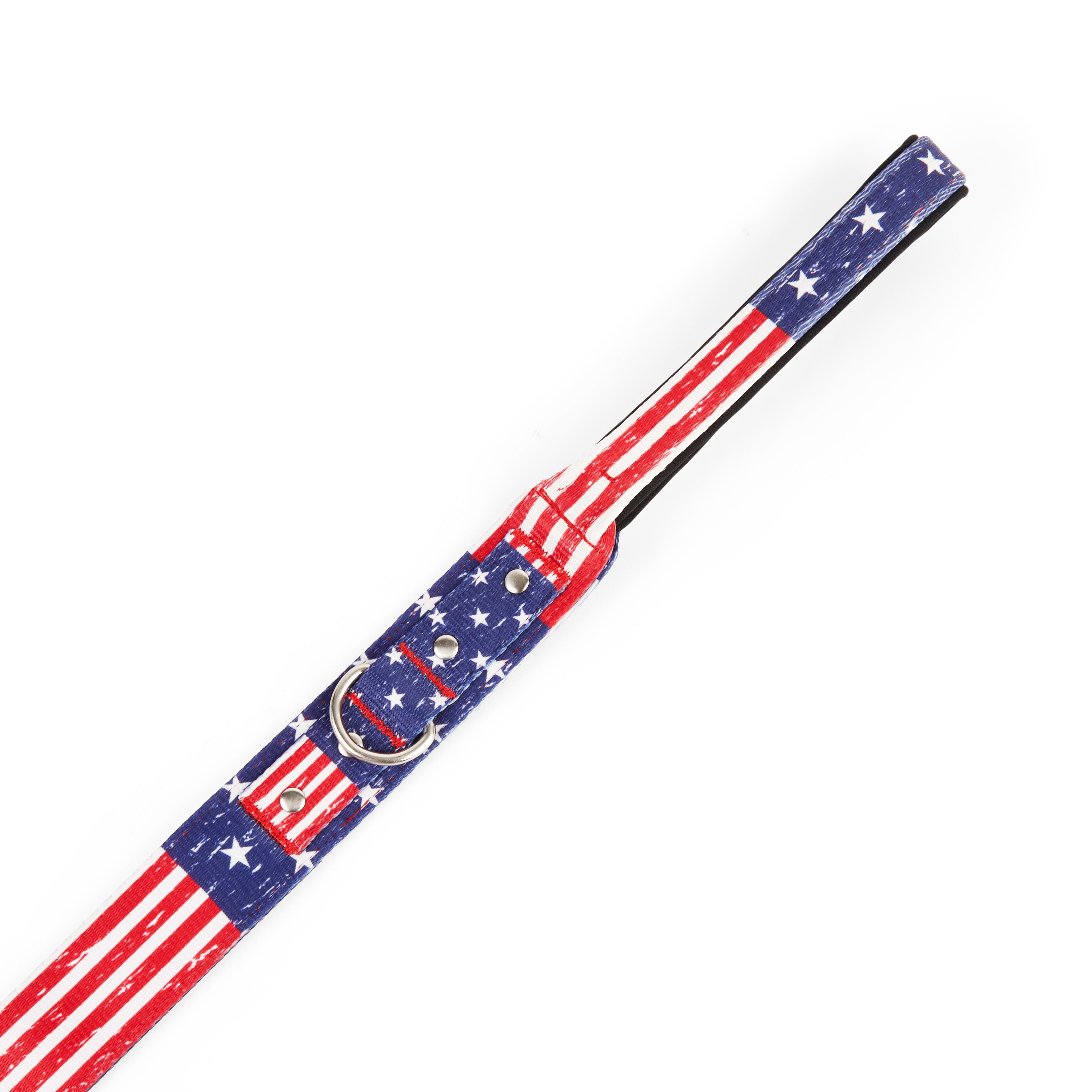 YOULY Big Dog American Flag Print Dog Leash， 4 ft.