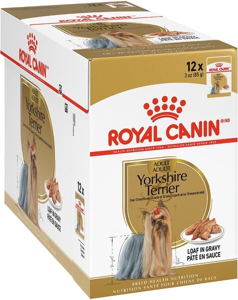 Royal Canin Breed Health Nutrition Yorkshire Terrier Adult Loaf in Gravy Pouch Dog Food， 3-oz pouch， case of 12