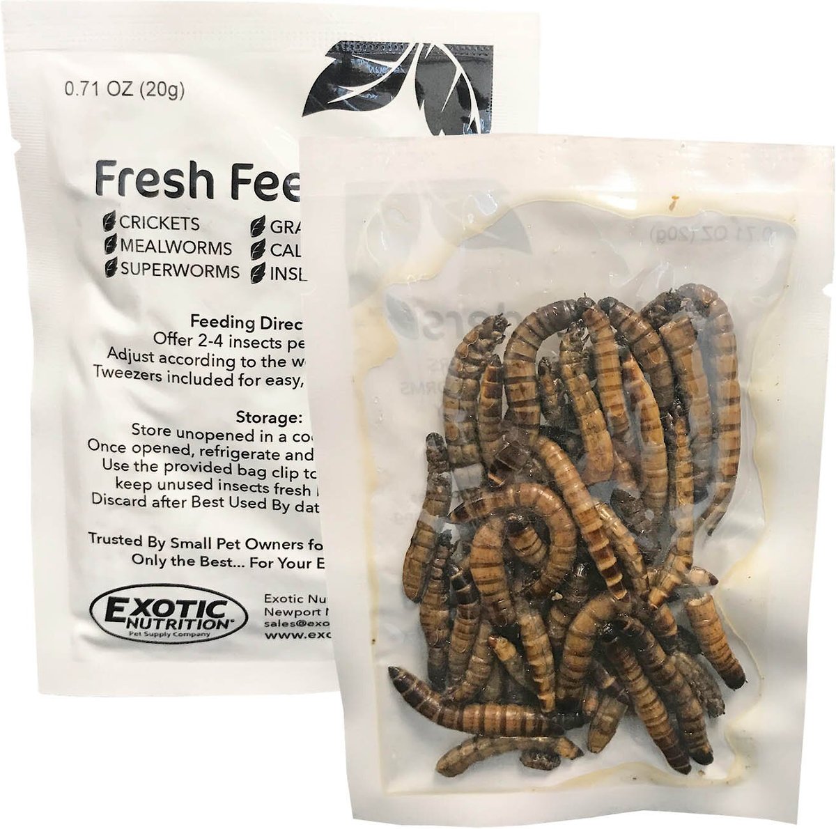 Exotic Nutrition Fresh Feeders Superworms Reptile Food， 5-oz box