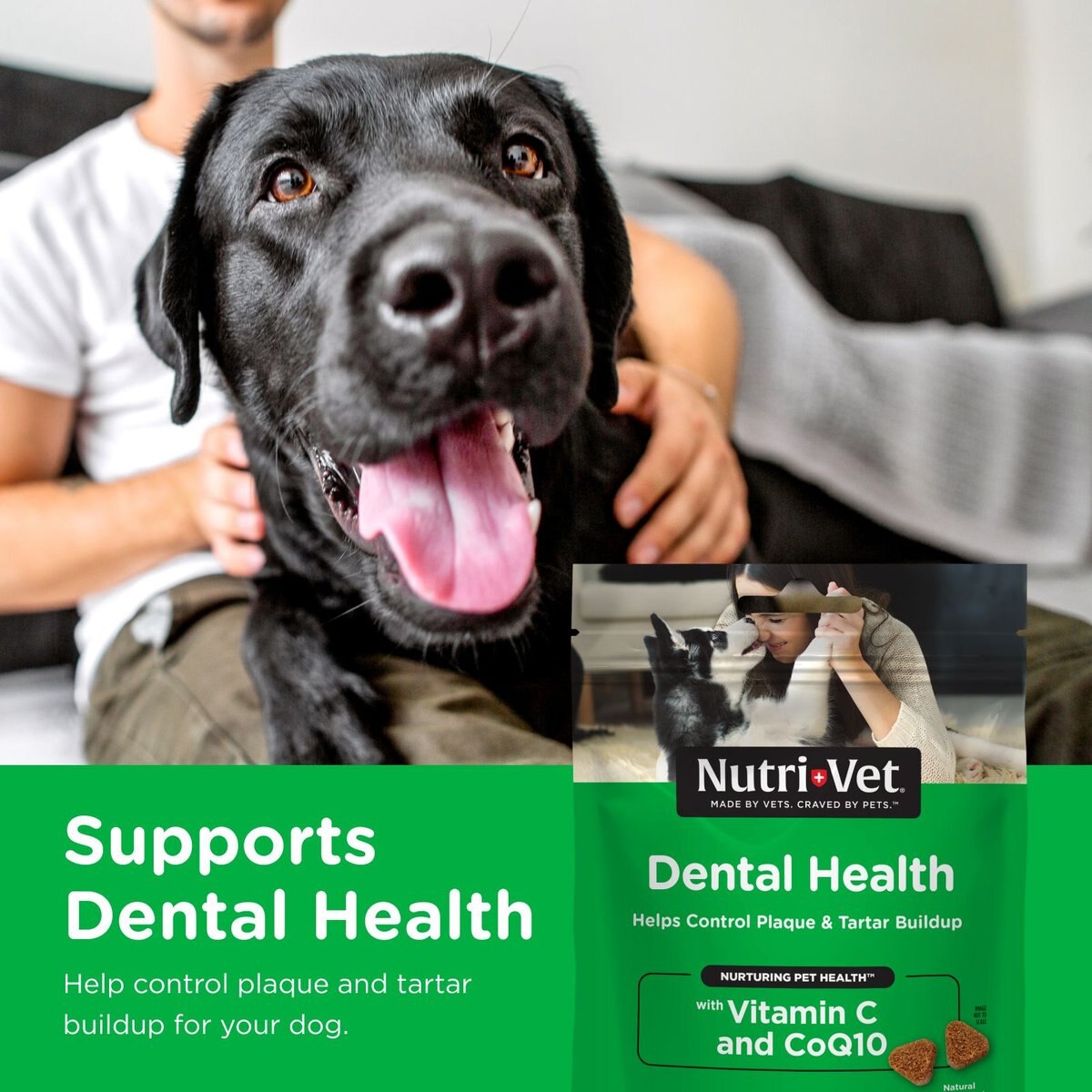 Nutri-Vet Dental Health Dental Dog Treats