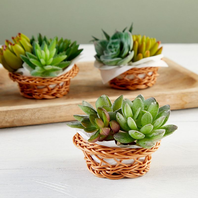 Mini Woven Baskets for Treats and Decor (Brown， 3.1 x 1.2 Inches， 24 Pack)