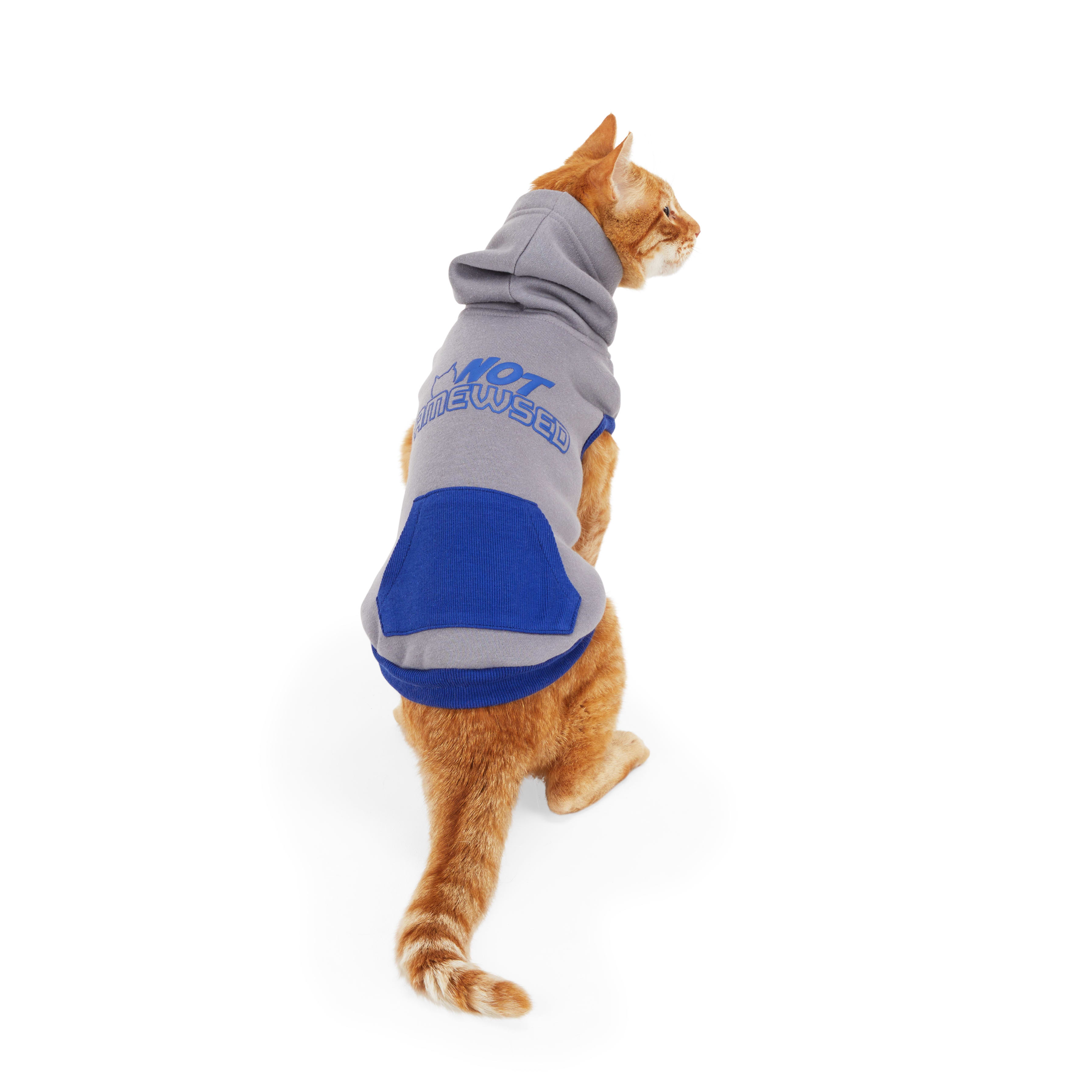 YOULY Grey Cat Hoodie， X-Small/Small