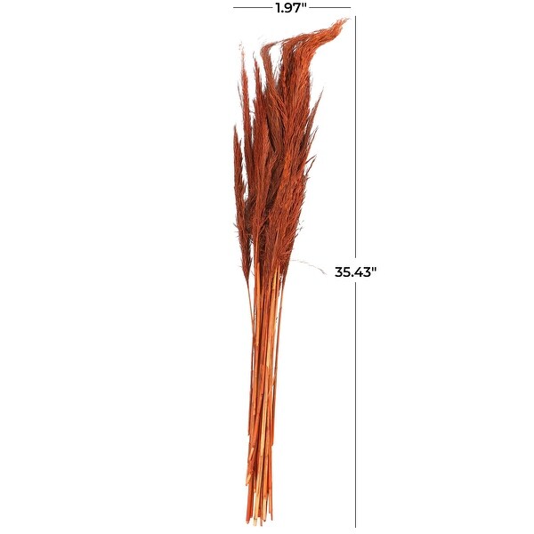 Orange Dried Plant Tall Pampas Grass Home Decor Natural Foliage