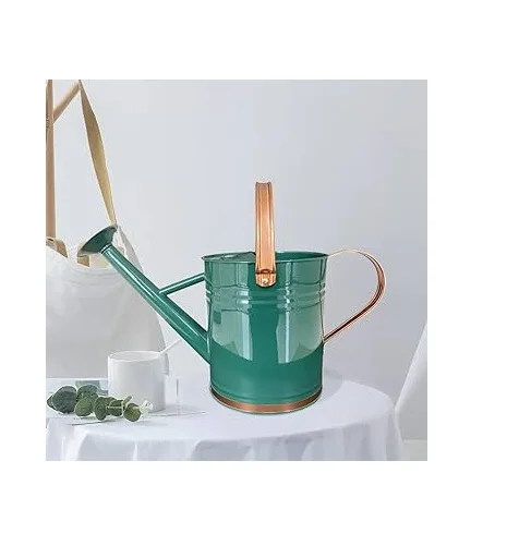 Classic Style Watering Canes Iron Watering Can For Indoor Outdoor Garden Flower Garden Supplies Water Plant