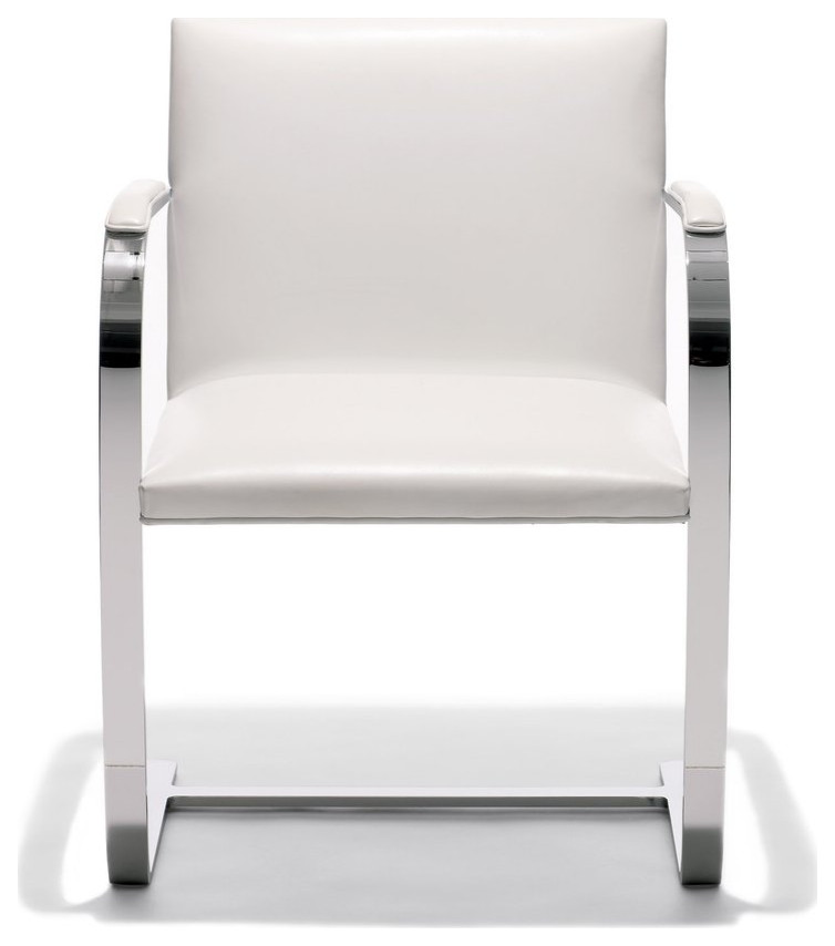 Tubular Arm White Polished Dining Chair   Contemporary   Dining Chairs   by HomeCraftDecor  Houzz