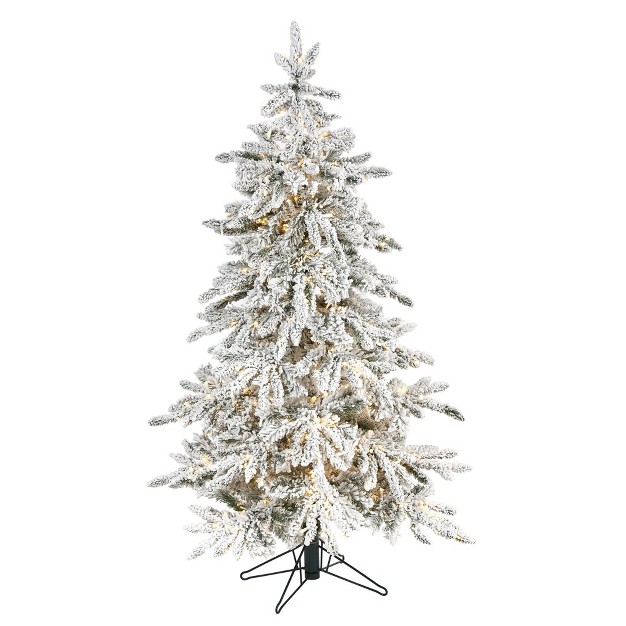 Nearly Natural 5' Flocked Grand Northern Rocky Fir Prelit Led Multifunction Light Artificial Christmas Tree