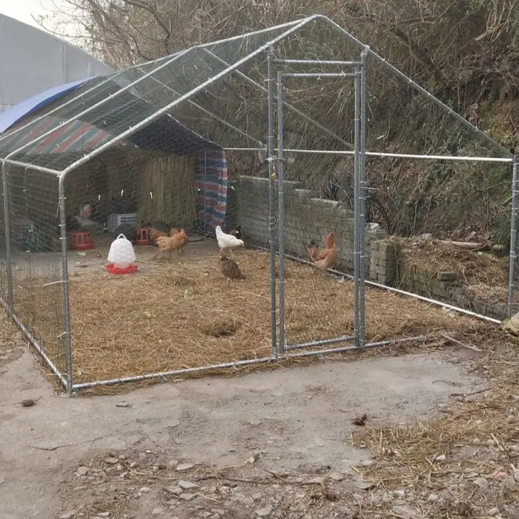 Factory Supply hot dip galvanized chicken coop