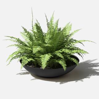 Veradek Lane Bowl 32 in. Black Plastic Round Planter LBV32B