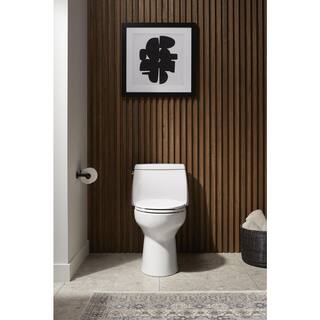 KOHLER Santa Rosa One-Piece 1.28 GPF Single Flush Elongated Toilet in White wContinuous Clean Technology (Seat Not Included) 30812-0