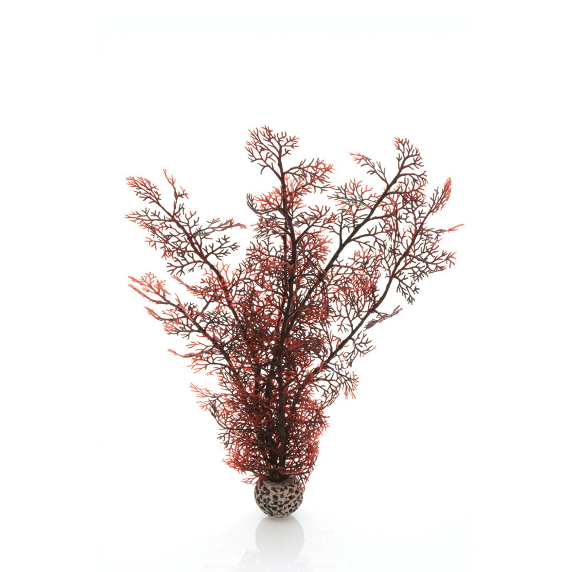 biOrb Aquarium Plant Sea Fan， Plastic， Medium， Crimson