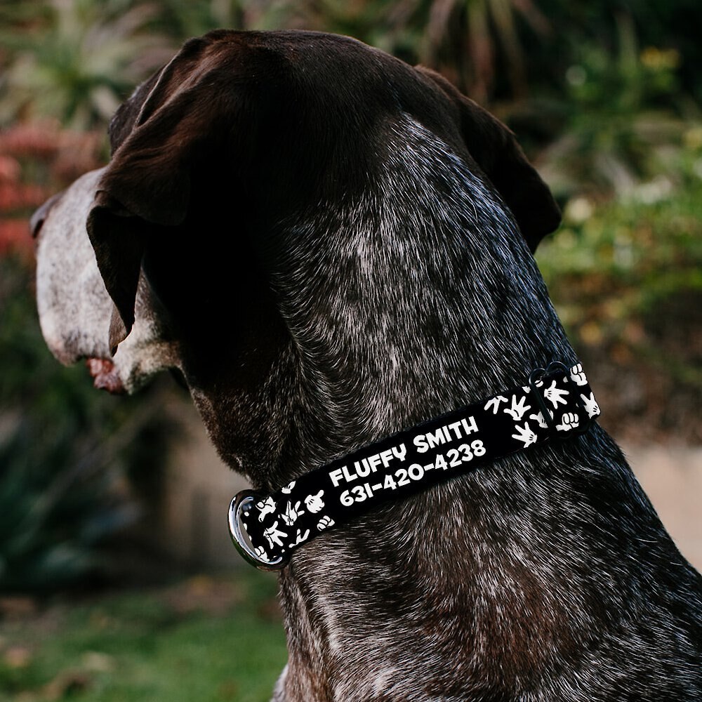 Buckle-Down Disney Mickey Mouse Hand Gestures Personalized Dog Collar