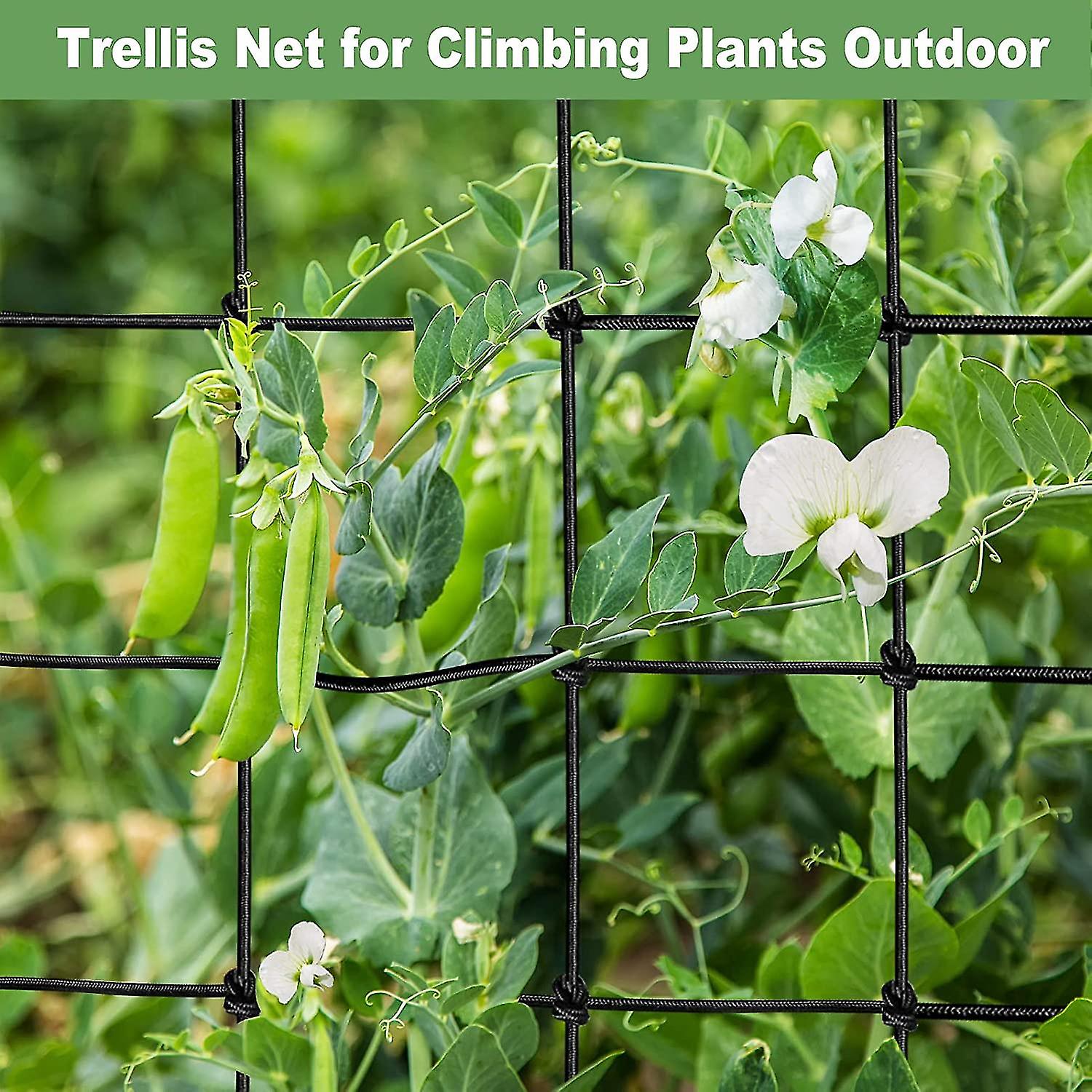 Trellis Net For Climbing Plants， Elastic Trellis Netting， Heavy duty Plant Net With Hooks， Elastic Grow Tent Scrog Net