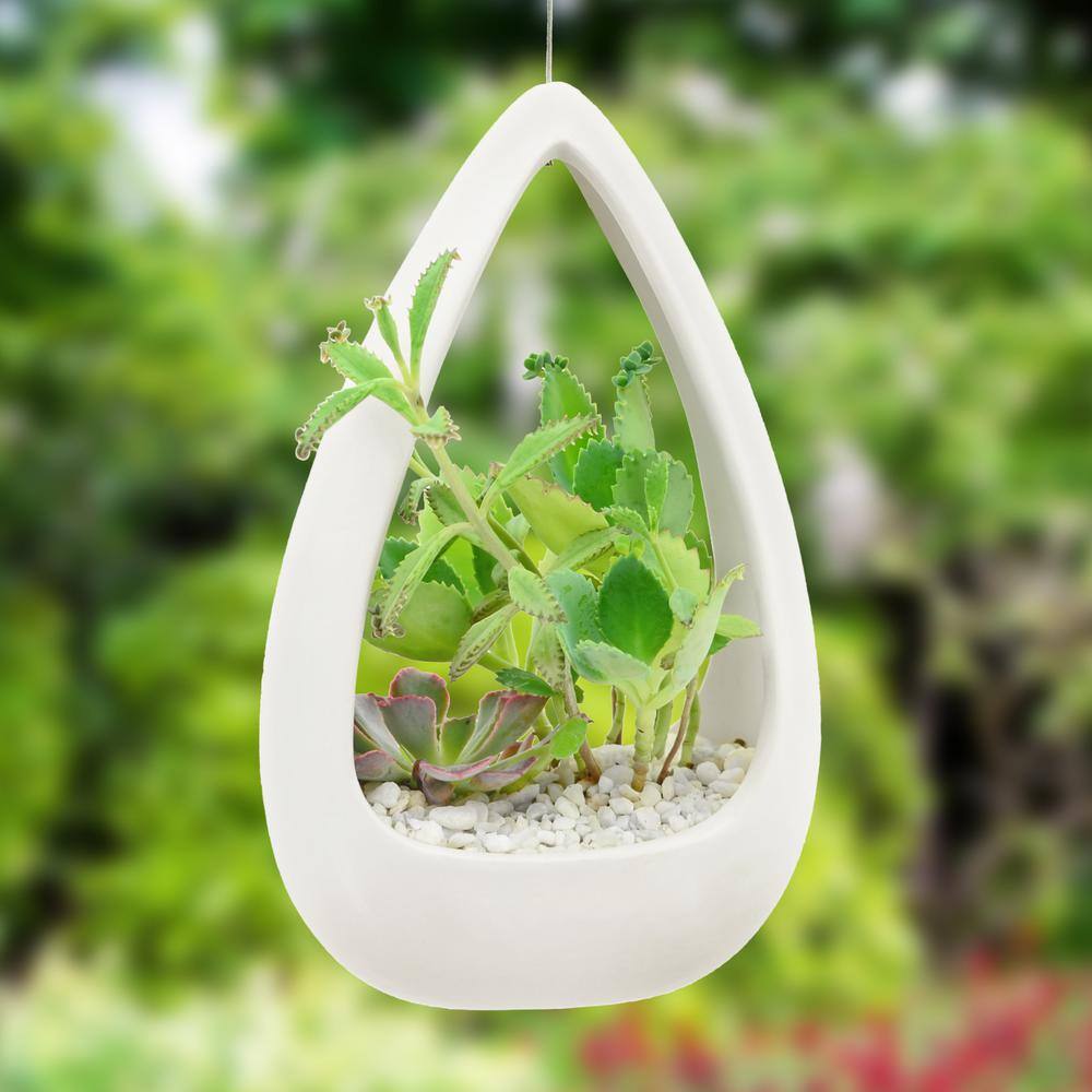 Arcadia Garden Products Cone 8-12 in. x 5-14 in. Matte White Ceramic Hanging Planter AP06W