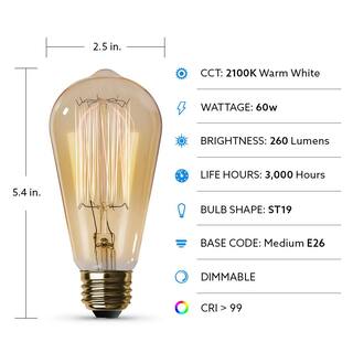 Feit Electric 60-Watt ST19 Dimmable Cage Filament Amber Glass E26 Incandescent Vintage Edison Light Bulb Warm White (6-Pack) 60ST196