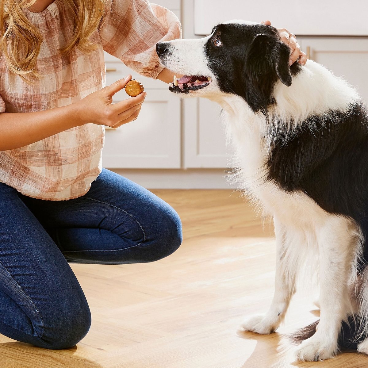 American Journey With Peanut Butter and Banana Grain-Free Soft-Baked Dog Treats， 8-oz bag