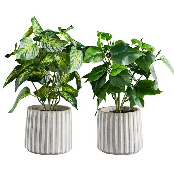 47th   Main CMR088 Plant In Cement Pot   Set Of 2