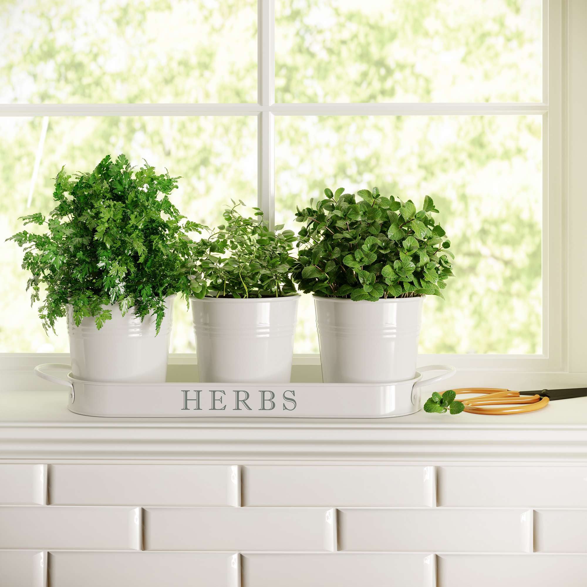 Barnyard Designs Farmhouse Herb Garden Planter Indoor Planter Set with Tray or Outdoor Apartment Window Planter Box, Windowsill Planter Box, Indoor Herb Planter Garden Pots Herb Pots, White, Set/3