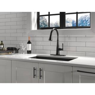 Delta Emmeline Single-Handle Pull-Down Sprayer Kitchen Faucet with Touch2O and ShieldSpray in Matte Black 9182T-BL-DST