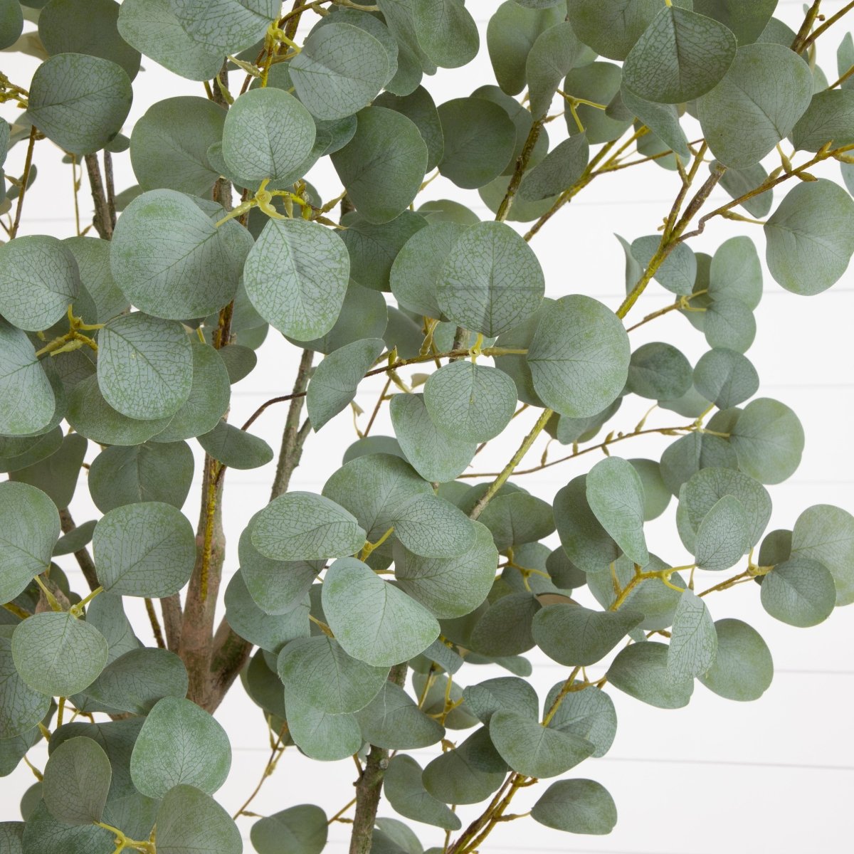 7.5' Faux Eucalyptus Tree | Realistic Indoor Greenery – Ed's Plant Shop