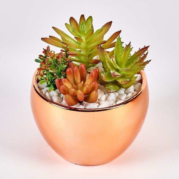 Succulents in 3.5 Diameter Gold Ceramic Pot