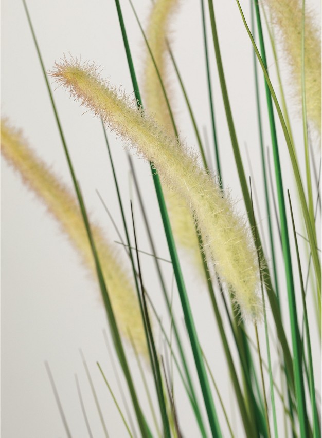 Sullivans Artificial Potted Dogtail Grass